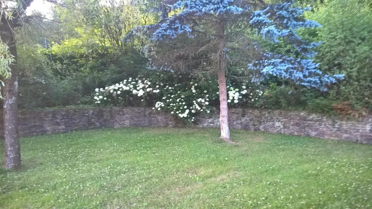 B&B Le Nid Doux  Vresse-sur-Semois Extérieur photo